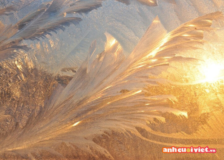 Đây là hình ảnh một tảng băng trong veo được ánh sáng mặt trời xuyên qua