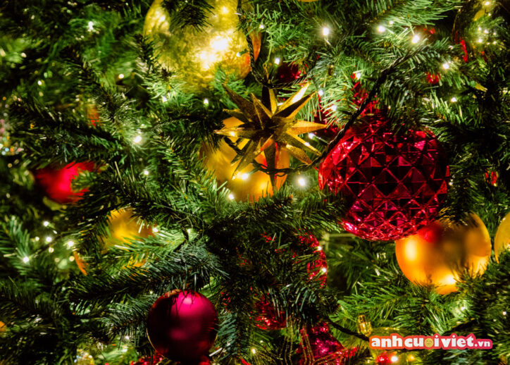 Tặng bạn một bức ảnh mang đầy không khí của mùa Noel sắp đến. Nôn nao và rộn ràng, cây thông được trang trí đèn và những quả cầu lấp lánh. 