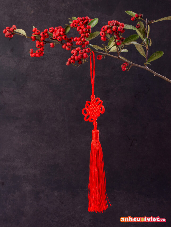 Nhành hoa đỏ đơn giản nhưng lại mang nét đẹp của tết, cũng với sợi dây đỏ trang trí làm bức ảnh trở nên đặc sắc hơn. 
