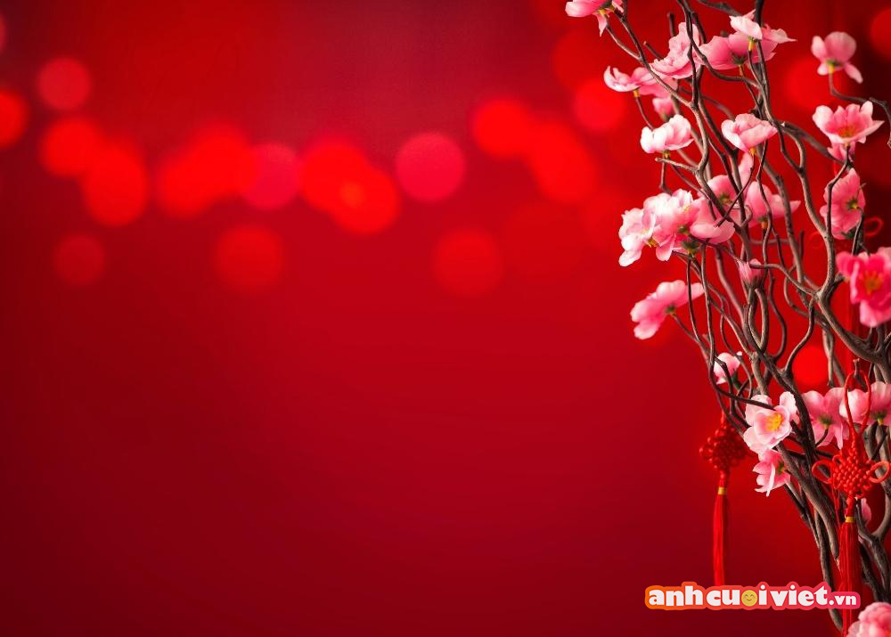 Tìm hiểu hơn 103 hình nền happy new year mới nhất  thdonghoadian