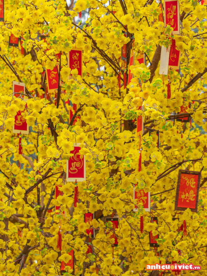 Hoa mai là biểu tượng của ngày tết ở miền Nam của Việt Nam, vì vậy sự dụng hoa mai nên là lựa chọn hàng đầu