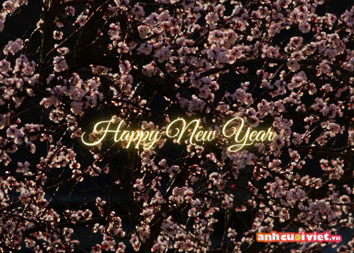 Hình ảnh hoa đào được chụp vào ban đêm và thêm câu chúc Happy New Year là bạn đã có được hình nền đẹp cho ngày tết