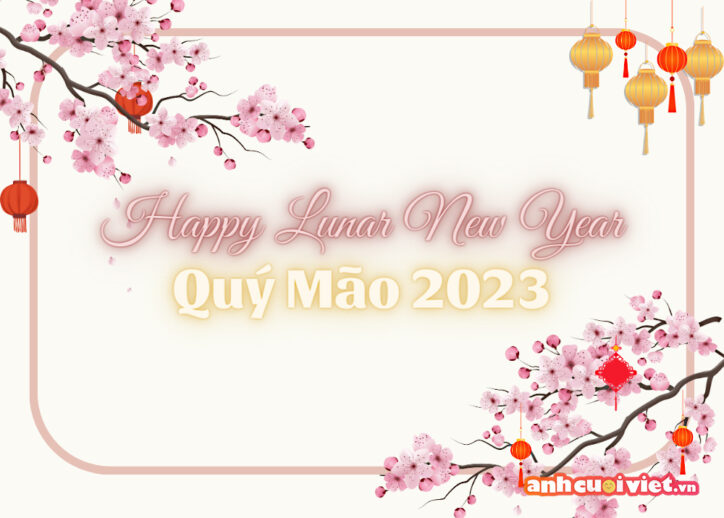 Backdrop tết nguyên đán hoa đào cùng dòng chữ Happy Lunar New Year màu hồng tương thích với màu của hoa